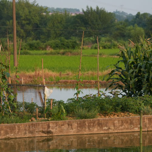 OS_03004