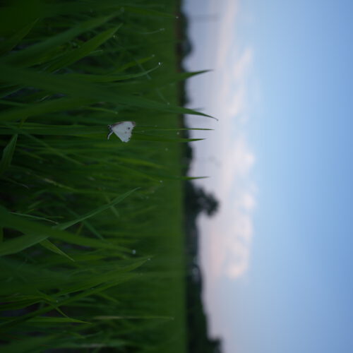 OS_03358
