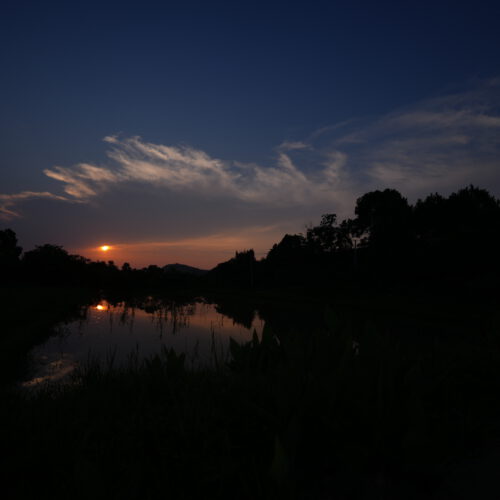 OS_03394