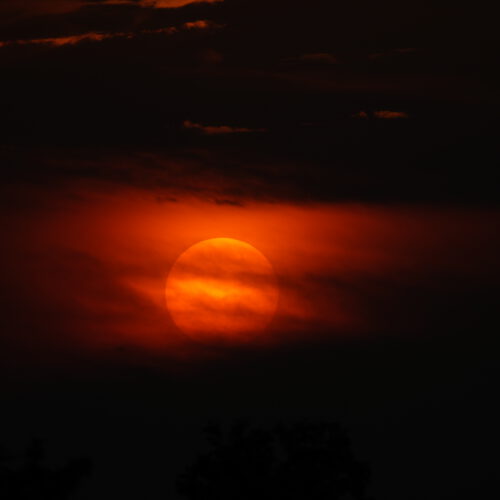 OS_03522