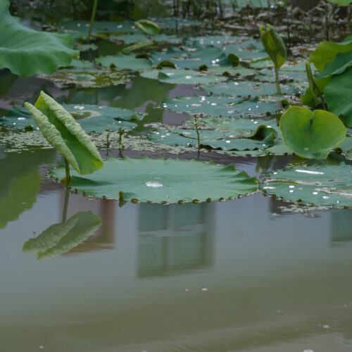 OS_05179