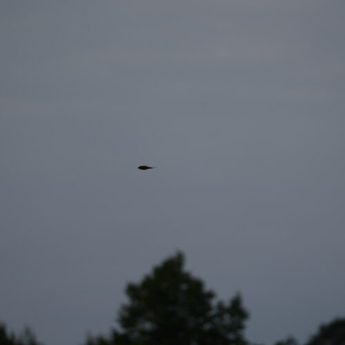 OS_05376