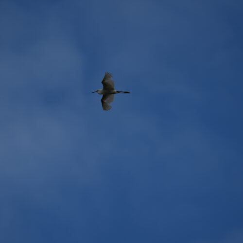 OS_05730