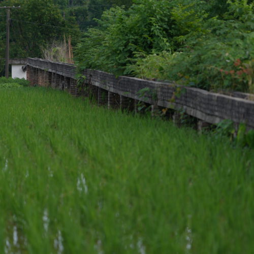 OS_05875