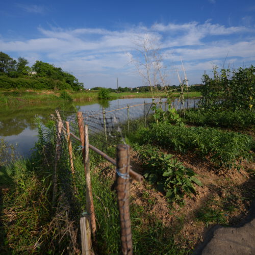 OS_06339