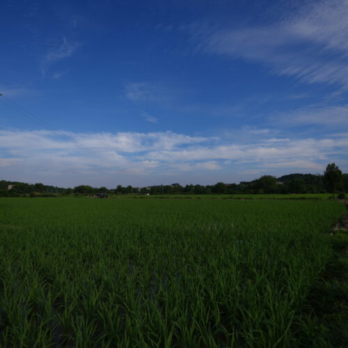 OS_06364