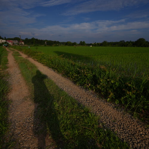 OS_06399