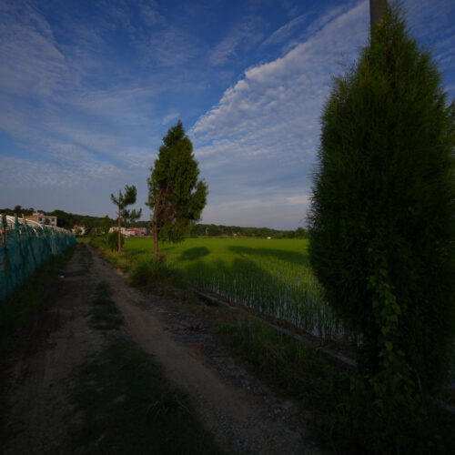 OS_06533