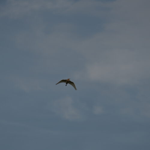 OS_06773