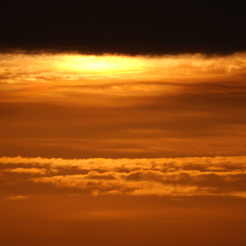 OS_07095