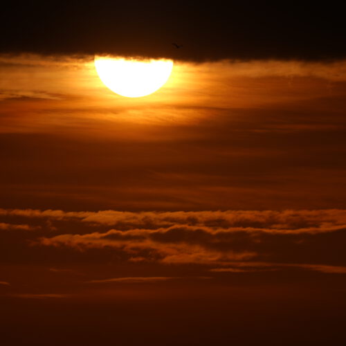 OS_07116