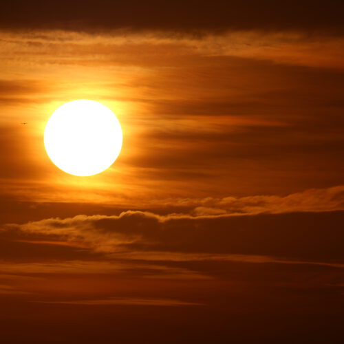 OS_07154