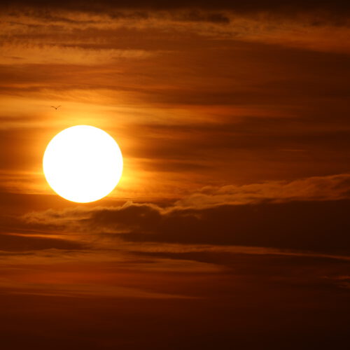OS_07180
