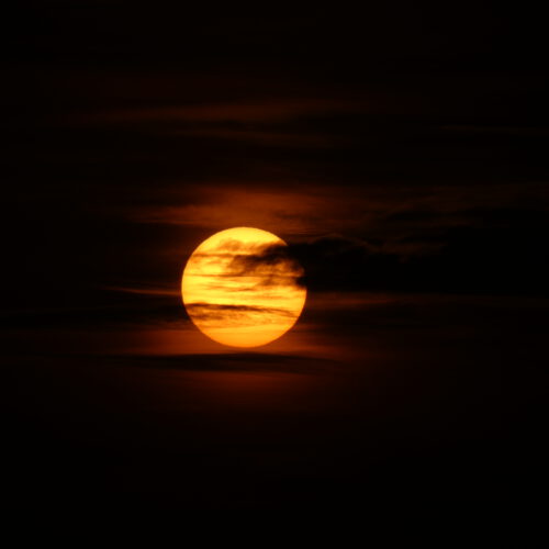 OS_07198