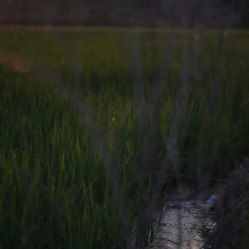 OS_07224