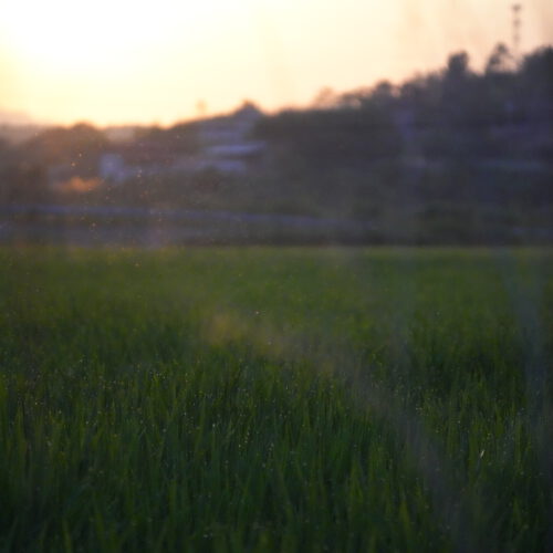 OS_07225
