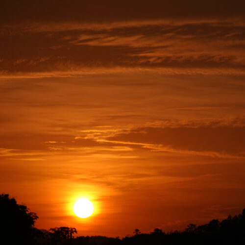 OS_07249