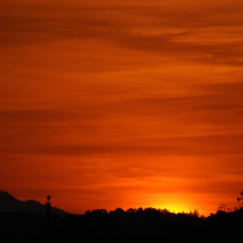OS_07284